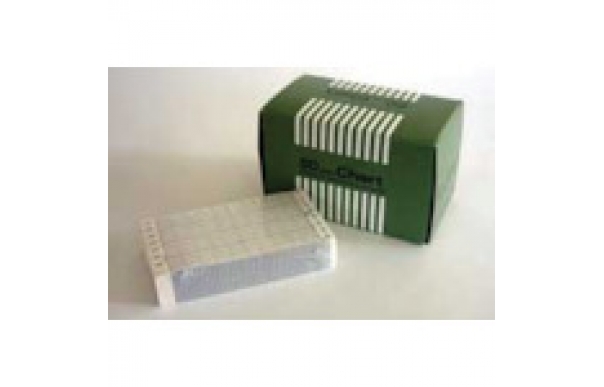 日本千野 CHINO ES406-ES600系列記錄紙